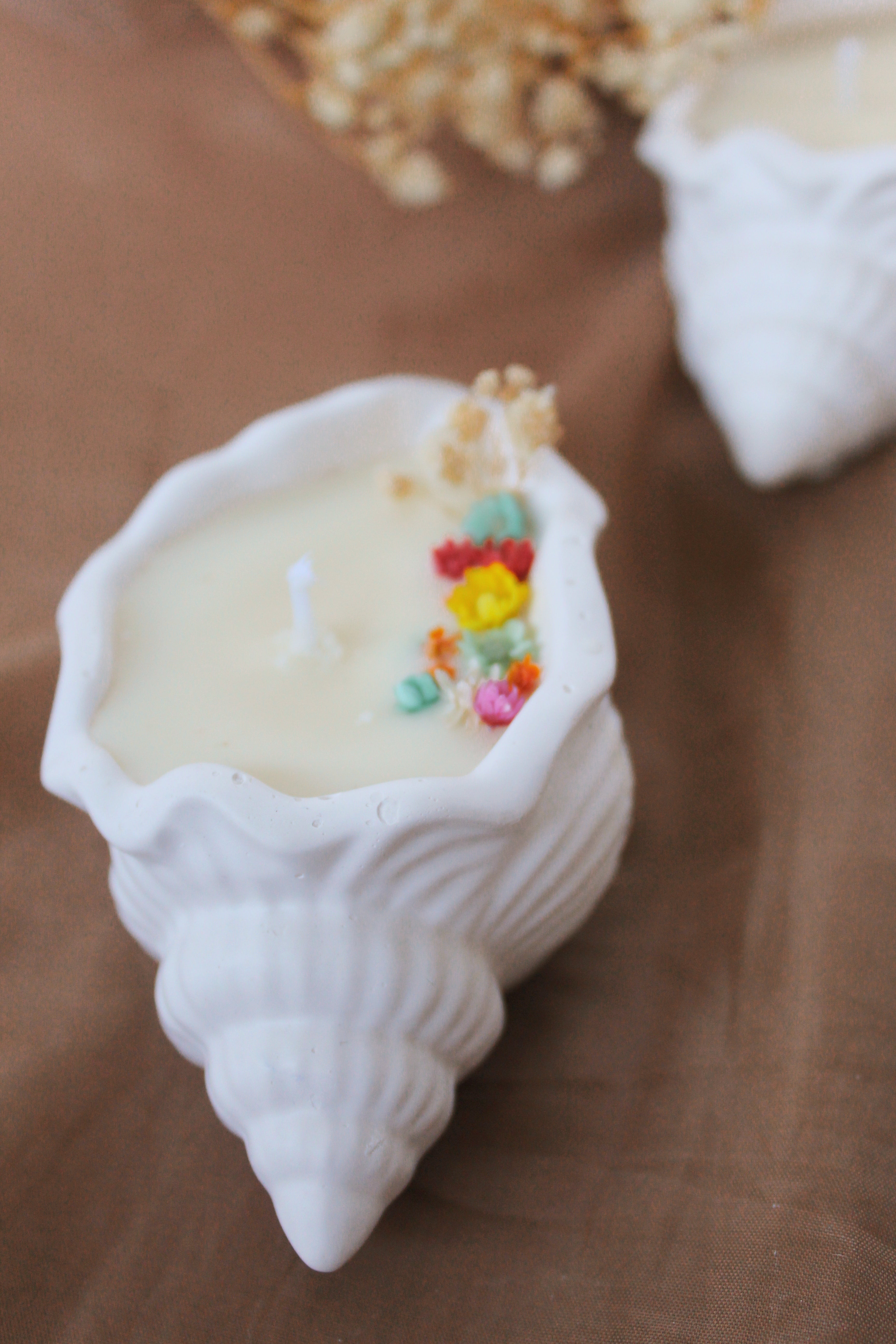 Bougie Coquillage Fleurs Séchées — Parfums de Grasse, Artisanale
