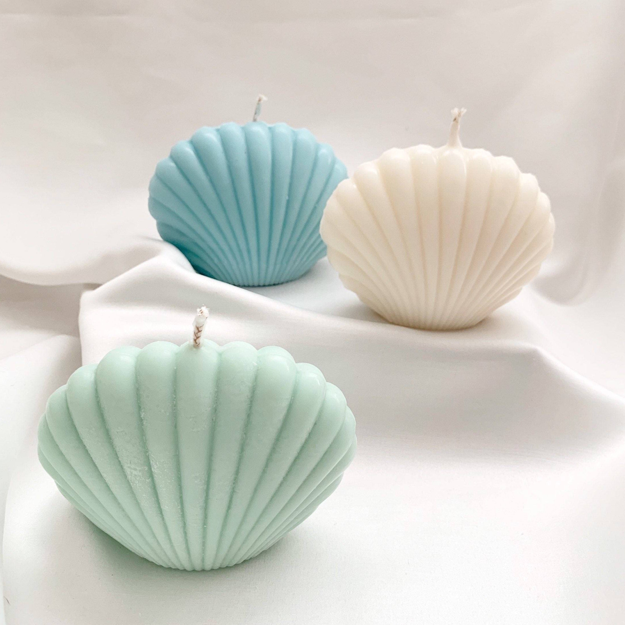 Bougie Coquillage Décorative — Cire de Soja, 6 Couleurs