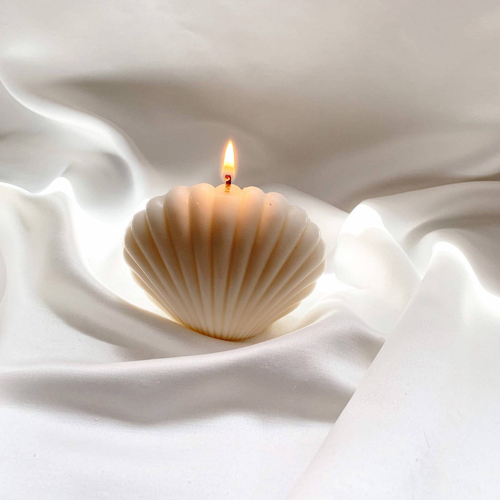 Bougie Coquillage Décorative — Cire de Soja, 6 Couleurs