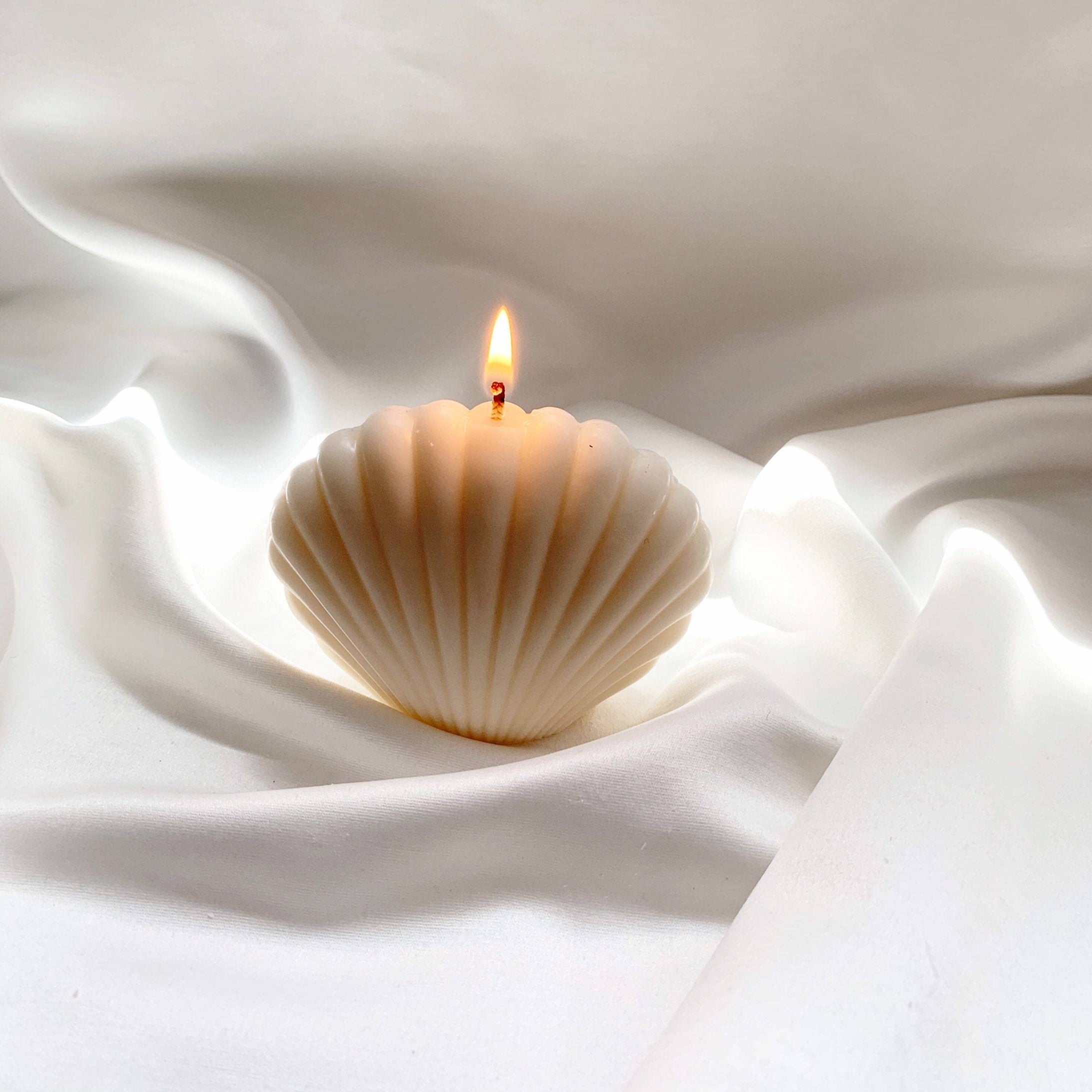 Bougie Coquillage Décorative — Cire de Soja, 6 Couleurs