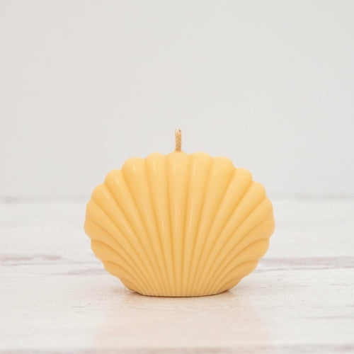 Bougie Coquillage Décorative — Cire de Soja, 6 Couleurs