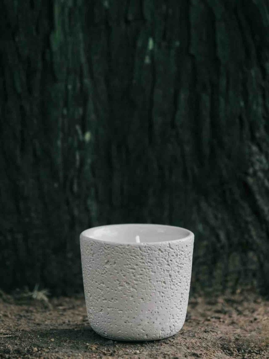 Bougie Parfumée Souffle de Nature — Sapin | Cire de Soja & Mèche en Bois